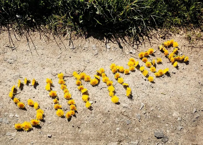 Villas Winterberg Winterberg